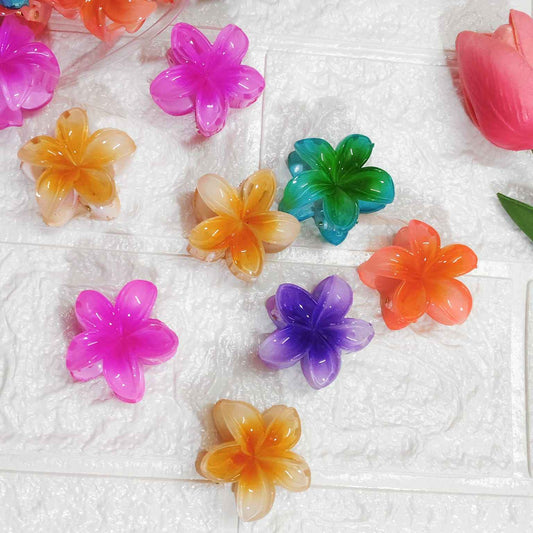 Flower Korean Claw Clip (24 Pcs Set)