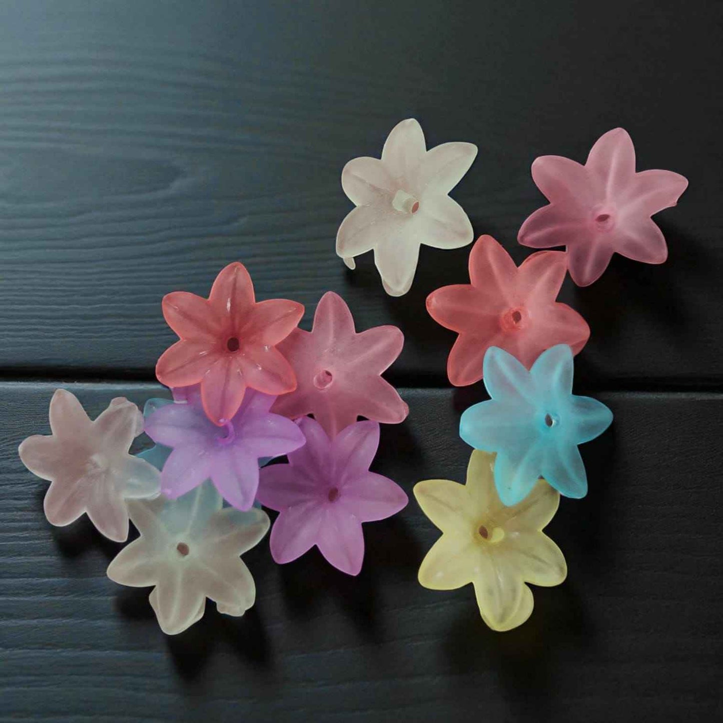 Multicolor Matt Finish Acrylic Flower (5 petals) - 10 gms
