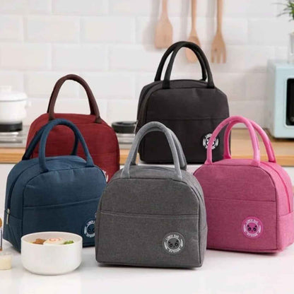 Premium Insulated Leak-Proof Portable Lunch bags for Kids