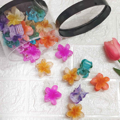 Flower Korean Claw Clip (24 Pcs Set)