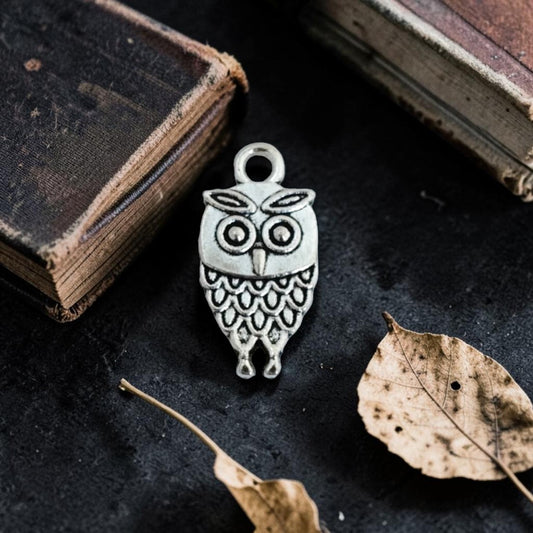 Owl Silver Metal Charms