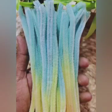 Multi-Shade Pipe Cleaner – Gradient 2